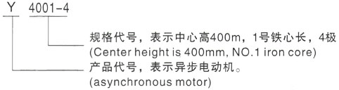 西安泰富西玛Y系列(H355-1000)高压YJTFKK4501-6三相异步电机型号说明