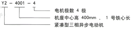 YR系列(H355-1000)高压YJTFKK4501-6三相异步电机西安西玛电机型号说明